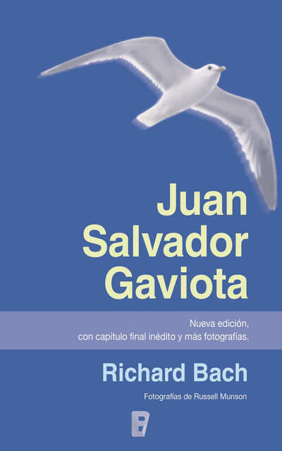 Juan Salvador gaviota